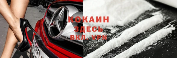 гидра Краснослободск