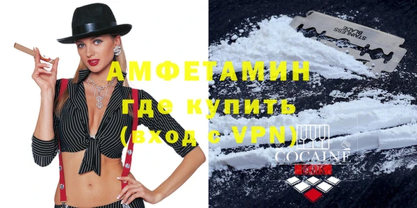 гидра Краснослободск