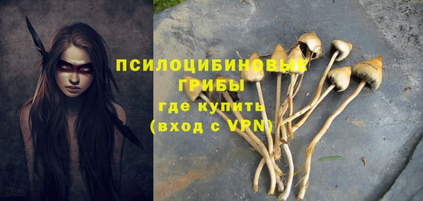 ГАЛЛЮЦИНОГЕННЫЕ ГРИБЫ Краснотурьинск