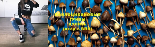 ГАЛЛЮЦИНОГЕННЫЕ ГРИБЫ Краснотурьинск