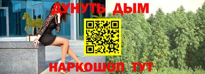 спиды Гатчина