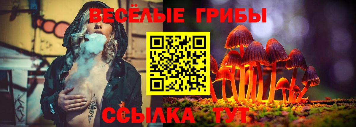 Псилоцибиновые грибы MAGIC MUSHROOMS Куйбышев