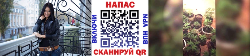 МАРИХУАНА VHQ  Куйбышев 